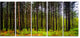 Pine Trees in Michaux Forest, Modern Forest Canvas Art, 60"x28", 5 Panels