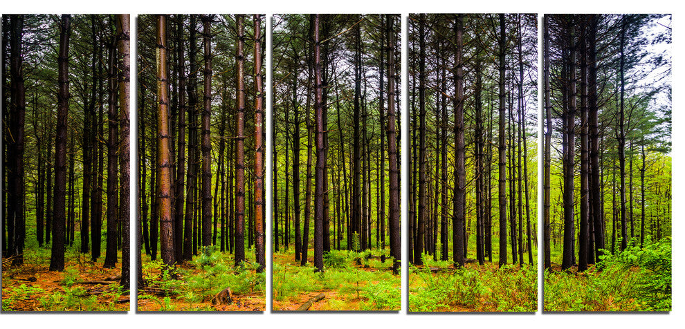 Pine Trees in Michaux Forest, Modern Forest Canvas Art, 60"x28", 5 Panels