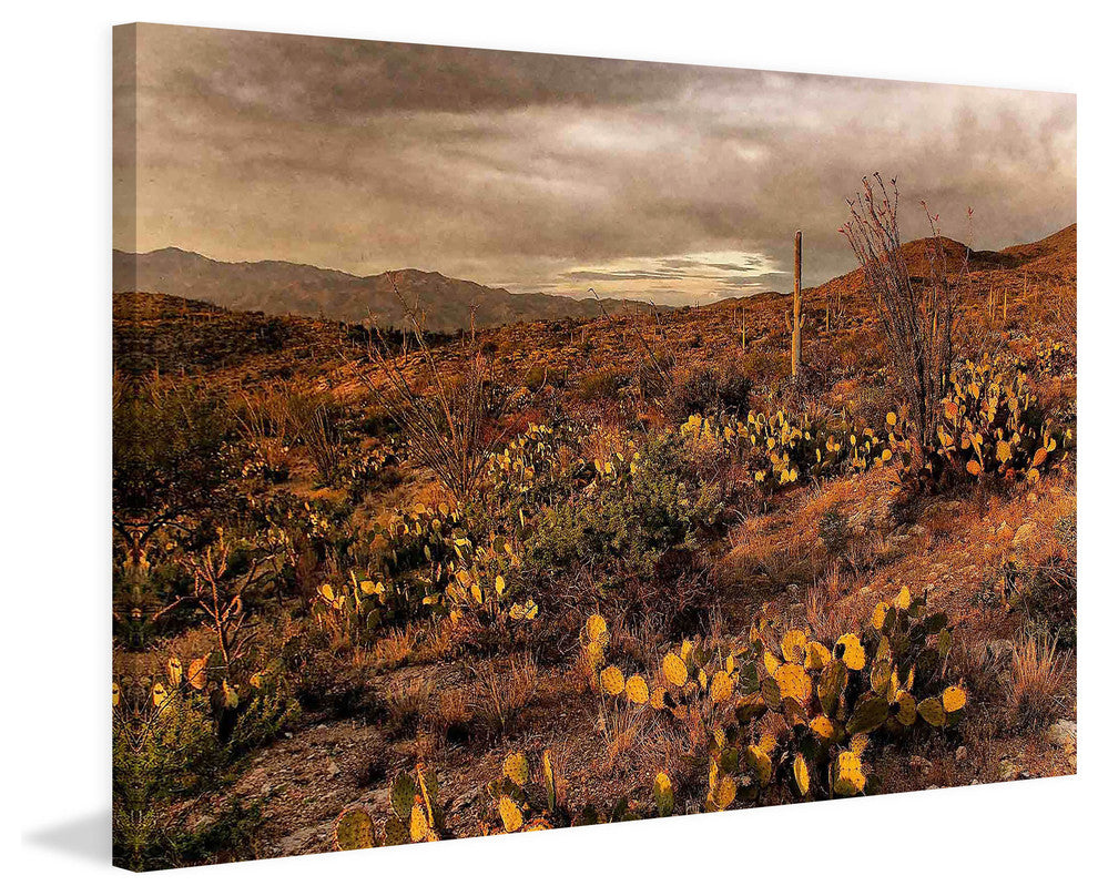 "Desert Sunset" Painting Print on Canvas by Robertson