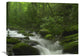 "Roaring Fork River, The Great Smoky Mountains National Park, Tennessee" Artwork