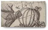 Antique Pumpkin Fall Design Chenille Area Rug, Brown, 3'x5'