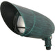 Nuvo Lighting PAR30 Landscape Fixture, Antique Verdi, SF76-657