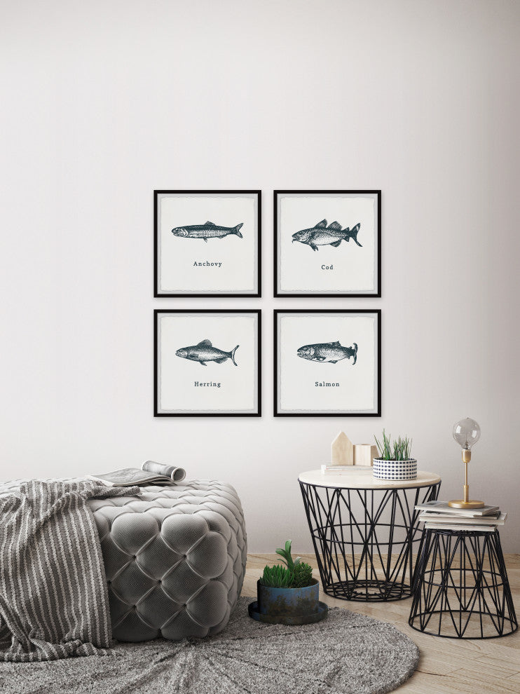 Anchovy and Salmon Quadriptych, 4-Piece Set, 12x12 Panels