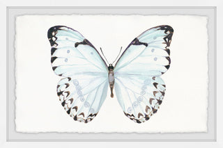 "Translucent Blue Wings" Framed Painting Print, 36"x24"
