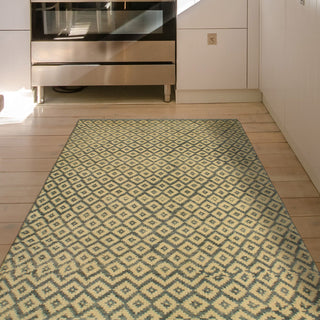 Balochi Adila Ivory/Gray Rug, 3'2x4'11