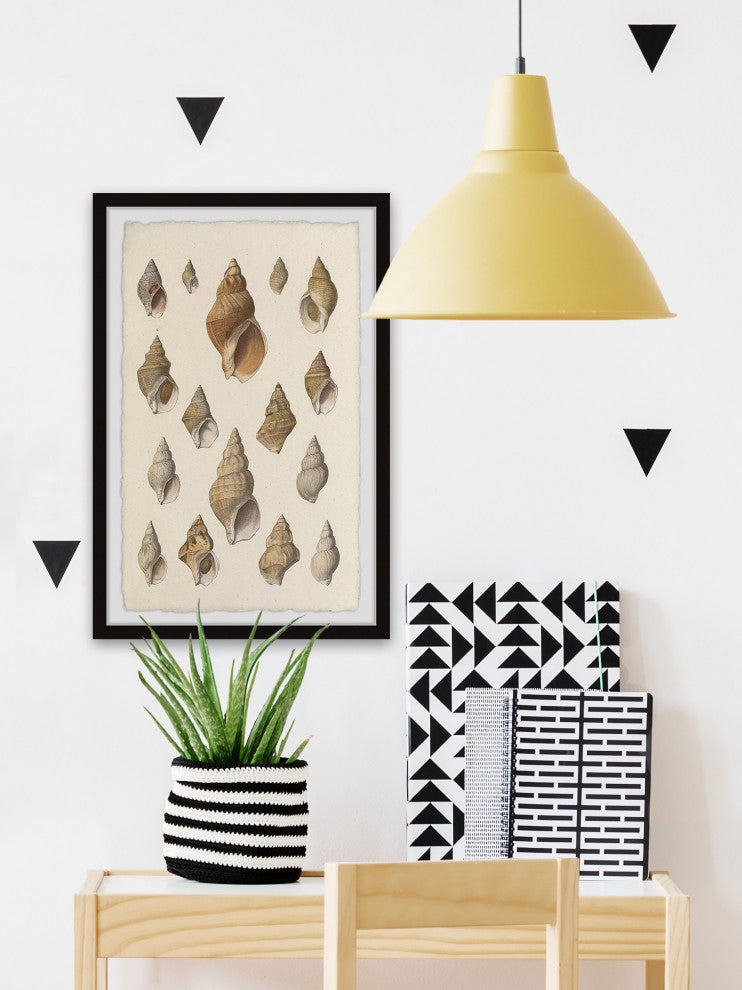 "Handful of Shells" Framed Painting Print, 24x36