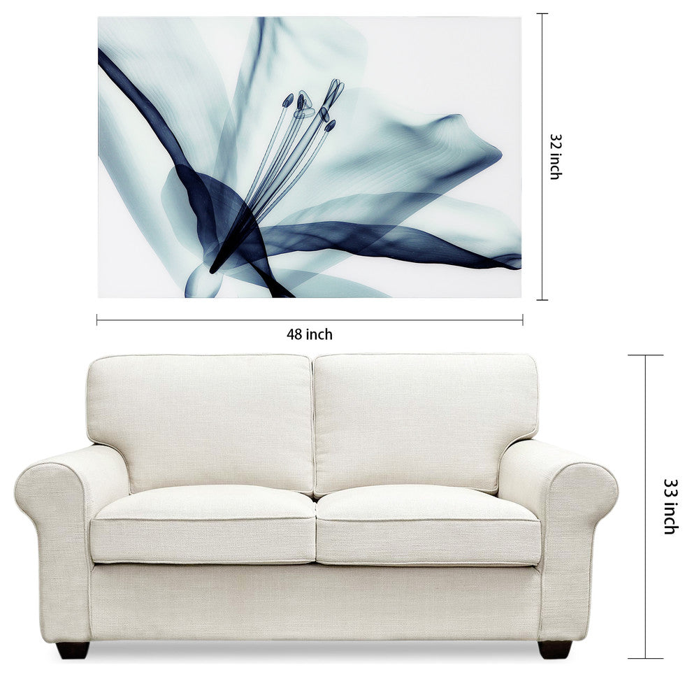Amaryllis Glass Wall Art Frameless Free Floating Tempered Glass Print 32x48