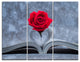 "Red Rose Inside the Book" Art Canvas Print, 3 Panels, 36"x28"