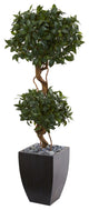 4.5' Sweet Bay Artificial Double Topiary Tree, Black Wash Planter