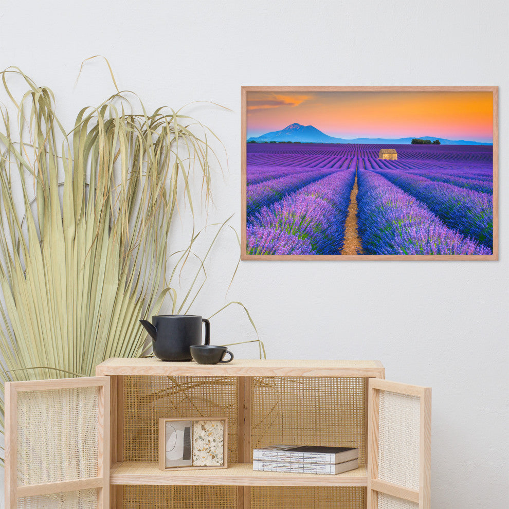 Blooming Lavender Field and Sunset Floral Landscape Framed Photo Wall Art Prints, Red Oak, 24" X 36"
