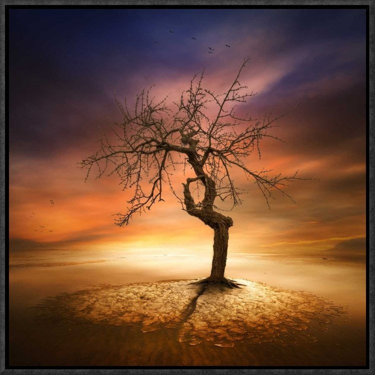 "Lonely" Framed Canvas Giclee by Piotr (Bax) Krol, 17x17"
