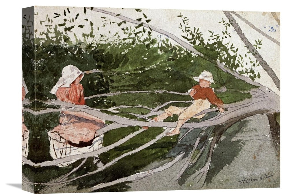 "Out on a Limb" Stretched Canvas Giclee by Winslow Homer, 16"x12"