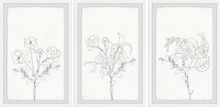 Plant Dreams Triptych, Set of 3, 20x30 Panels