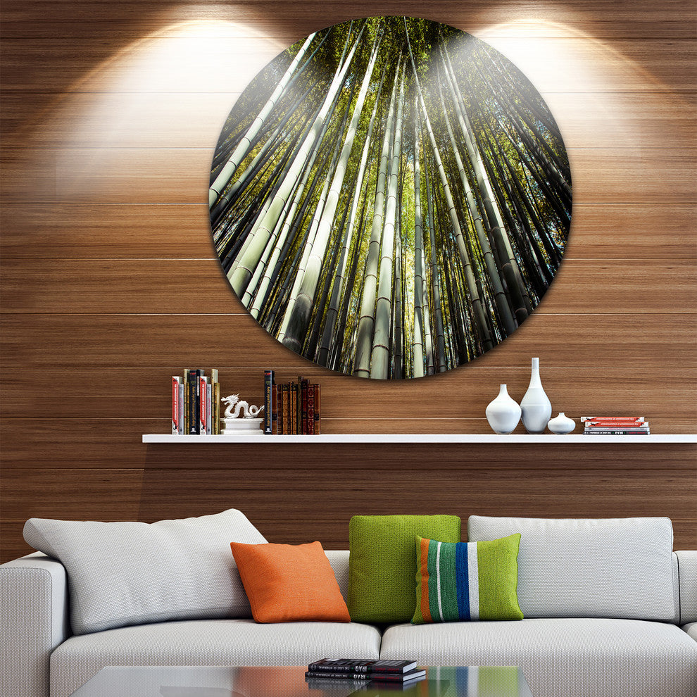 Long Bamboos In Bamboo Forest, Forest Large Disc Metal Wall Art, 23"