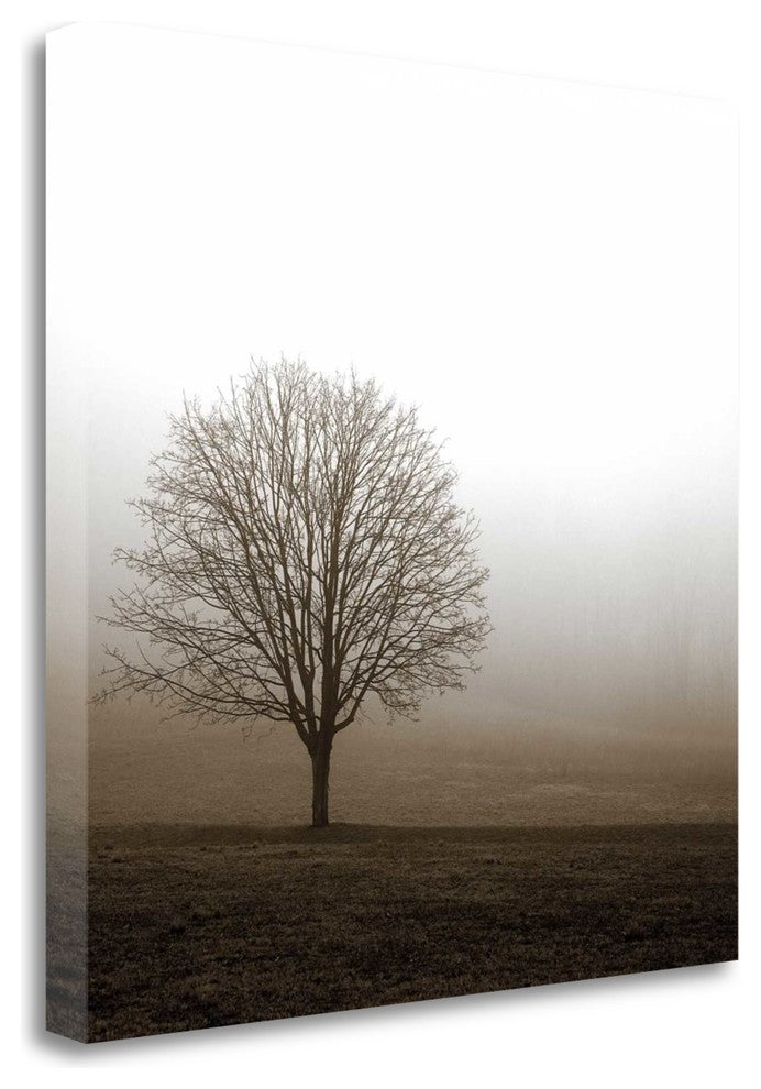 "Tree In Mist 1" By Photoinc Studio, Giclee Print on Gallery Wrap Canvas