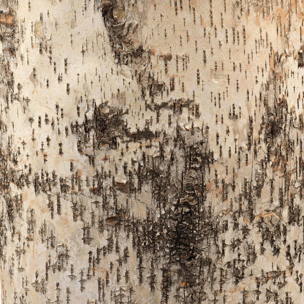 Forrester Table Lamp, Birch Veneer With  Oval Shade, Natural Linen