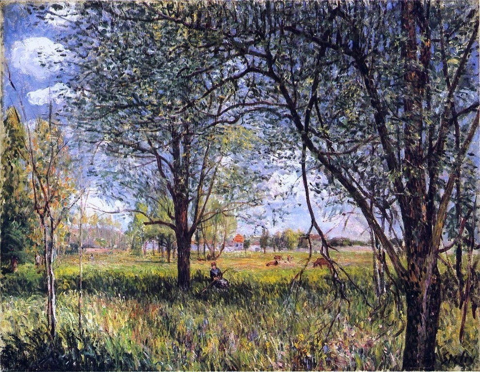 Alfred Sisley Willows in a Field, afternoon, Gallery Wrapped Canvas, 21"x28"