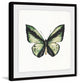 "Deep Green Wings" Framed Painting Print, 18"x18"