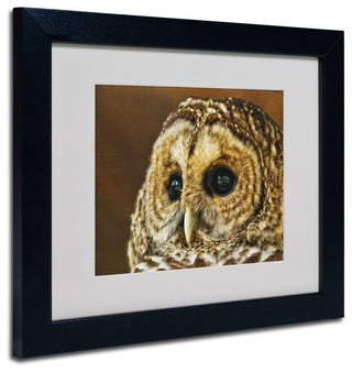 'Barred Owl Portrait' Matted Framed Canvas Art by Lois Bryan