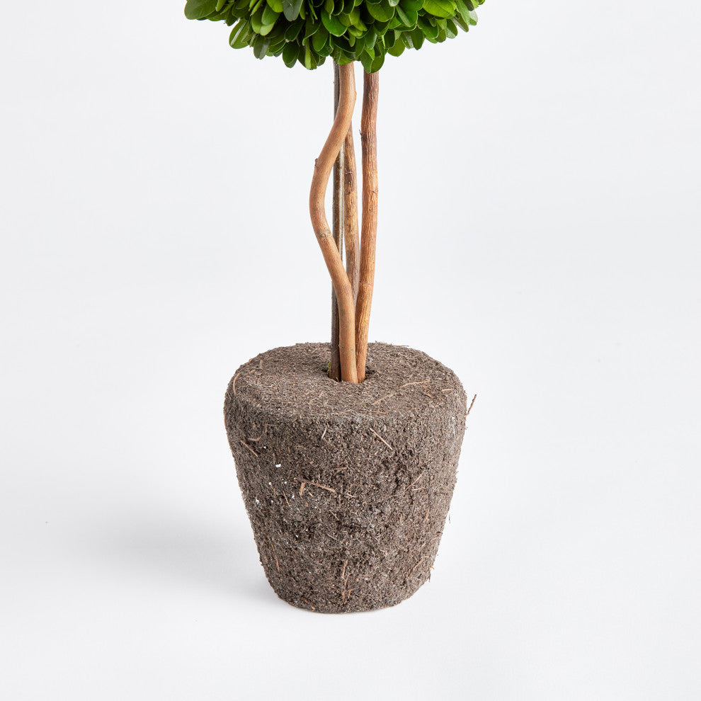 Boxwood Single Sphere Topiary Drop-In, 16"