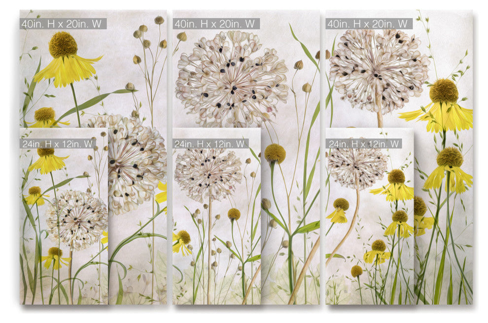Ready2HangArt 'Alliums and Heleniums' 3-Piece Canvas Wall Decor Set, 36"x24"
