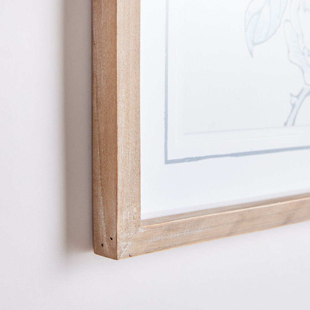 Monochromatic Bird Study Gallery, Set of 4