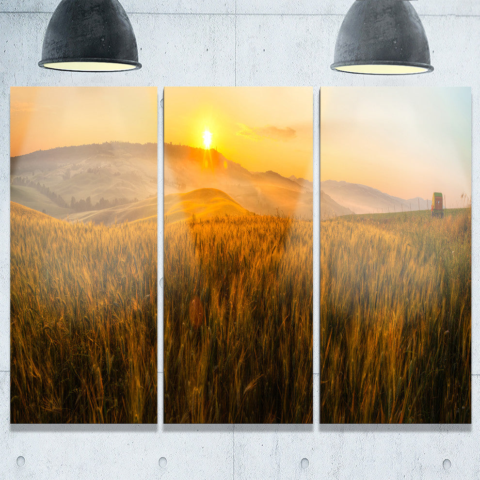 "Tuscany Wheat Field at Sunrise" Metal Wall Art, 3 Panels, 36"x28"