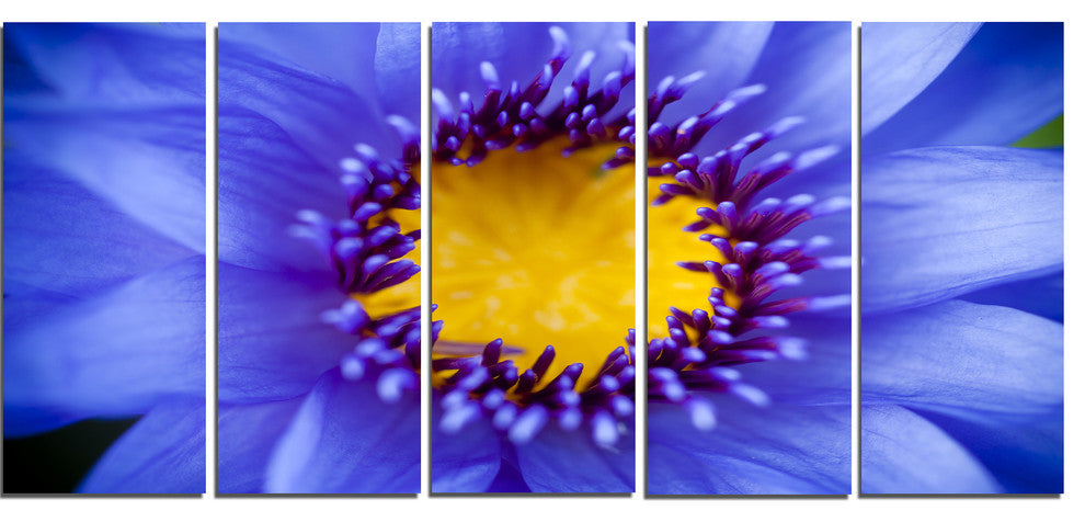 Blue Lotus Close up Watercolor, Flowers Canvas Wall Artwork, 60"x28", 5 Panels