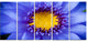 Blue Lotus Close up Watercolor, Flowers Canvas Wall Artwork, 60"x28", 5 Panels