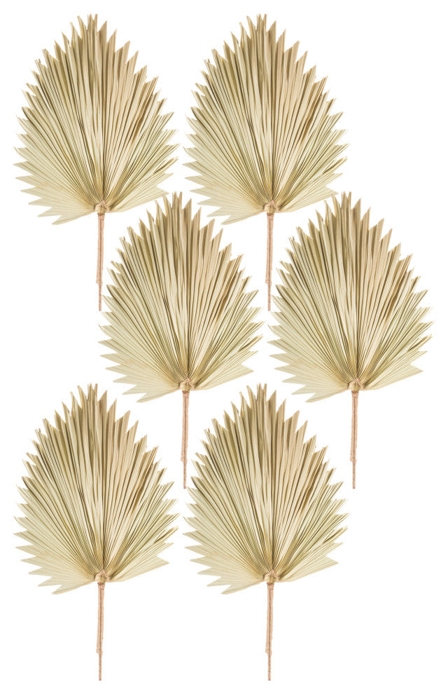 Fan Palm Leaf, 6-Piece Set