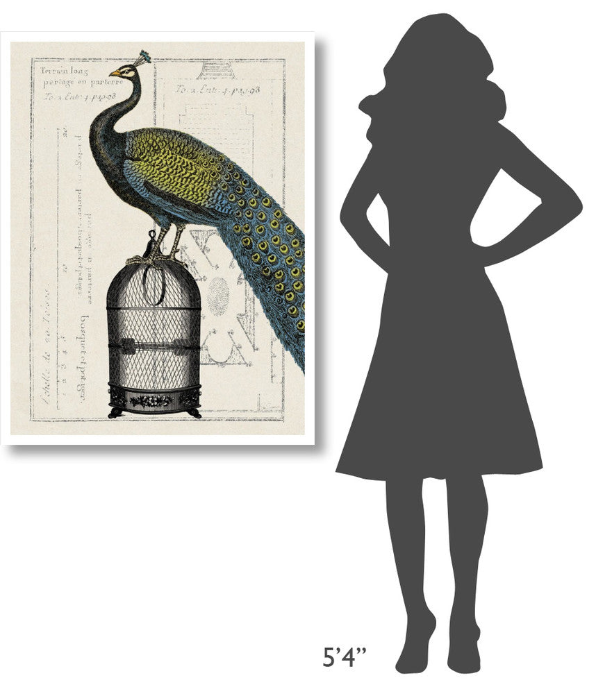 "Peacock Birdcage II" Digital Paper Print by Sue Schlabach, 32"x42"