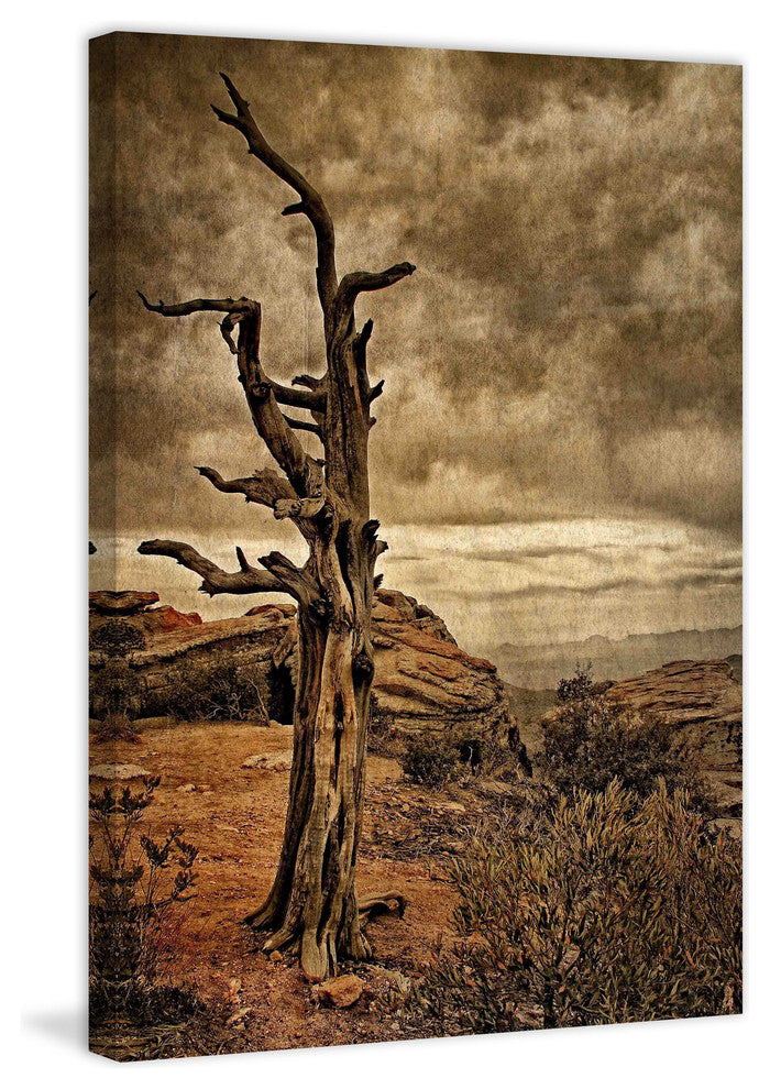 "Crags and Crooks II" Painting Print on Canvas by Robertson
