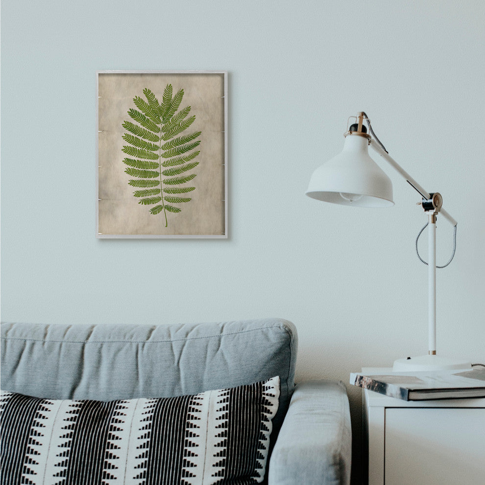 Plant Drawing Parchment Green Design, 16"x20", Gray Frame