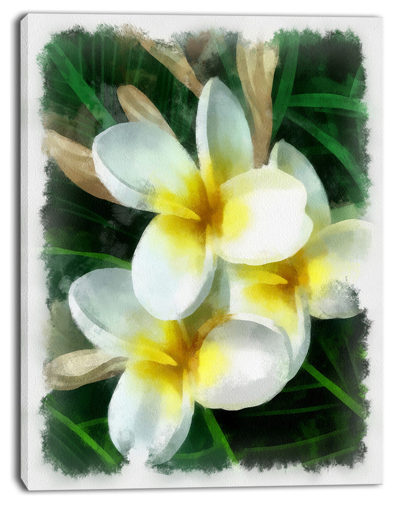 Cute Frangipani Flowers Watercolor, Floral Canvas Art Print, 30"x40"