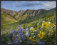 Larkspur and Sunflowers, Albion Basin, Wasatch Range, Utah, 24"x18"