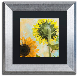 Color Bakery 'Soleil II' Matted Framed Art, Silver Frame, Black Mat, 11x11