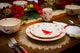 Euro Ceramica Winterfest 16 Piece Dinnerware Set