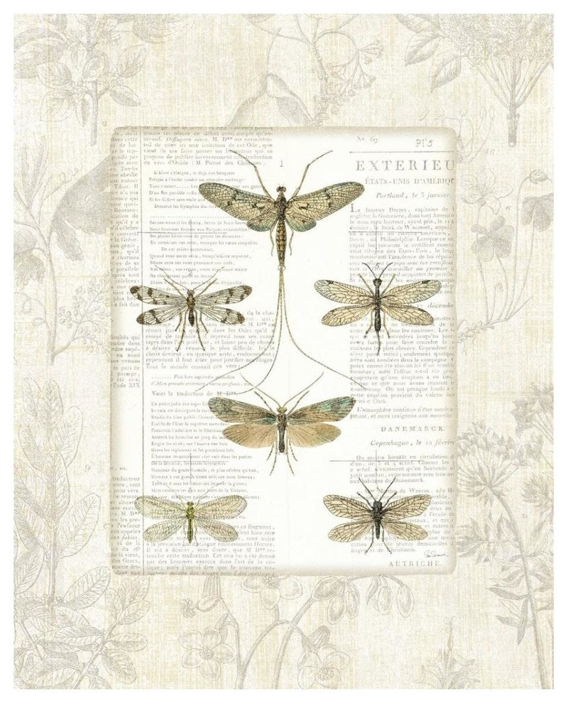"Dragonfly Botanical" Digital Paper Print by Sue Schlabach, 30"x37"