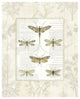 "Dragonfly Botanical" Digital Paper Print by Sue Schlabach, 30"x37"