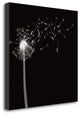 "Into The Night II" By Jim Wehtje, Giclee Print on Gallery Wrap Canvas