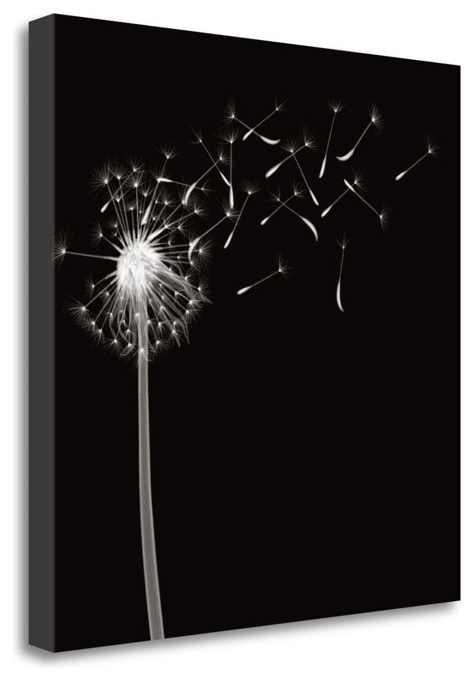"Into The Night II" By Jim Wehtje, Giclee Print on Gallery Wrap Canvas