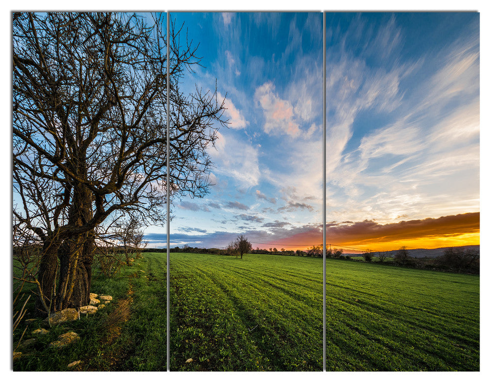 Green Pasture under Blue Sky, Landscape Canvas Art Print, 36x28, 3 Panels