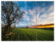 Green Pasture under Blue Sky, Landscape Canvas Art Print, 36x28, 3 Panels