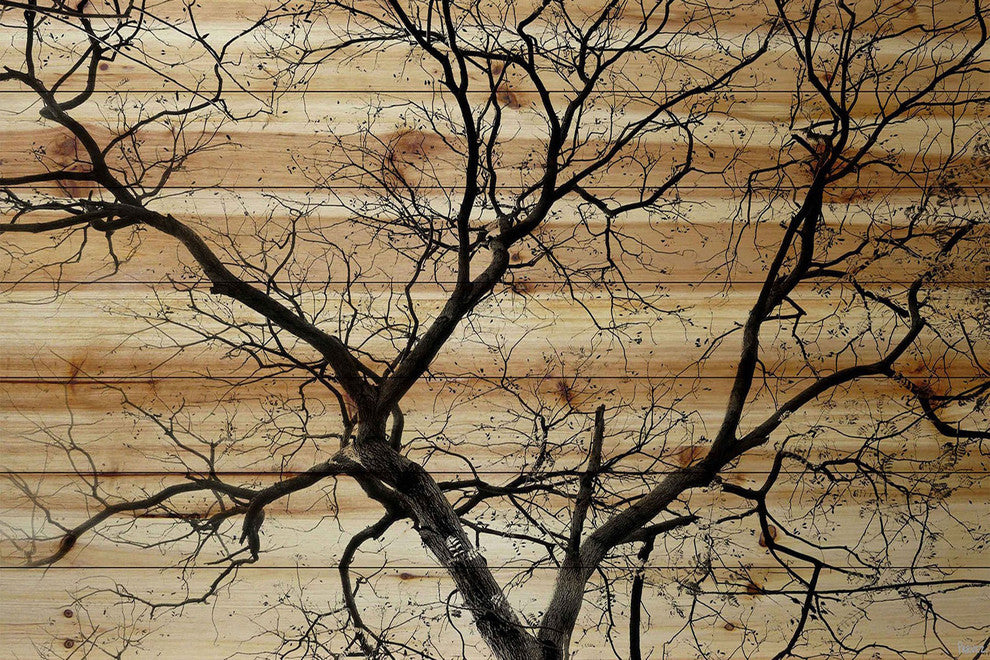 "Branching Out III" Painting Print on Natural Pine Wood, 18"x12"