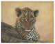 "Young Leopard" Digital Paper Print by Jacquie Vaux, 22"x18"