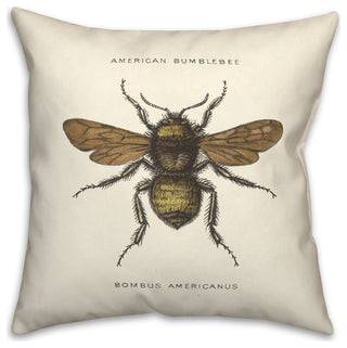 Vintage Bumblebee Diagram 18x18 Spun Poly Pillow