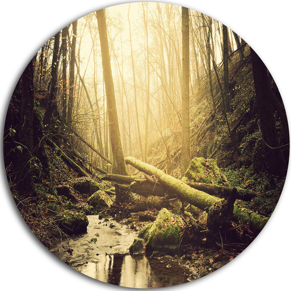 Stream In The Dark Wild Forest, Forest Round Wall Art, 36"