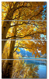 Bright Yellow Autumn Tree, Oversized Landscape Canvas Art, 28"x48", 4 Panels