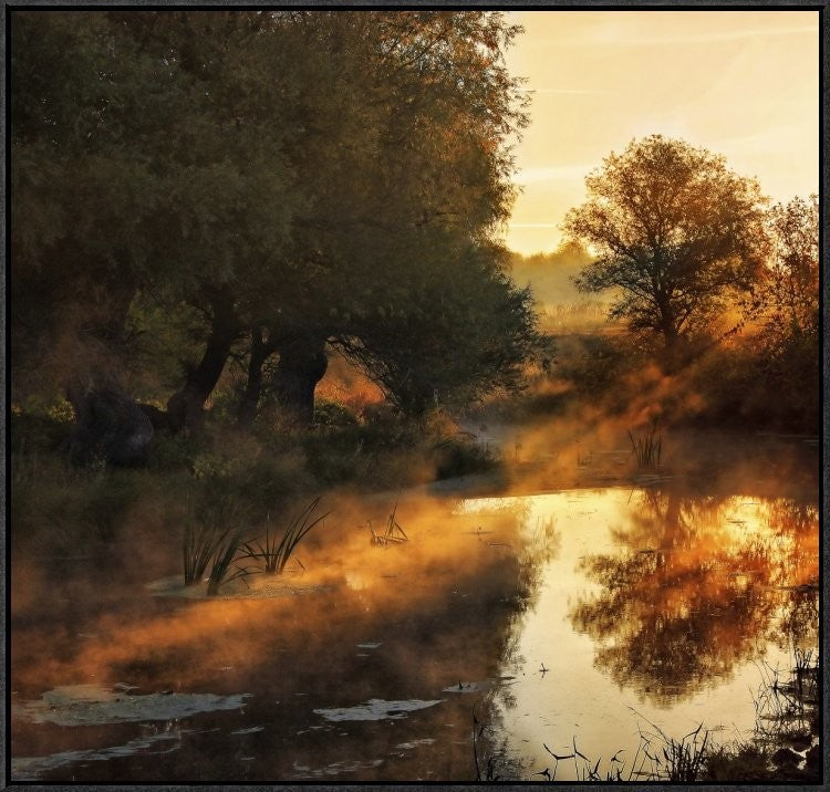 "When Nature Paints With Light" Framed Canvas Giclee by Jimbi, 31x29"