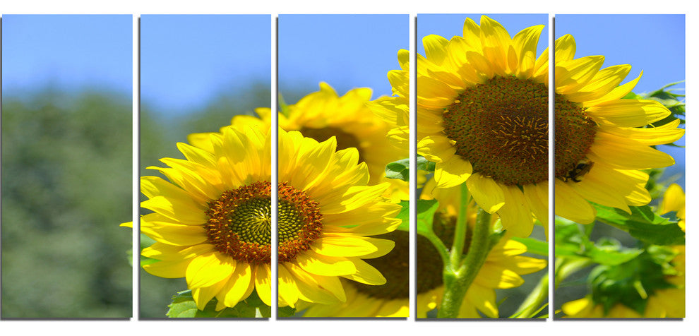 Beautiful Sunflowers View, Floral Canvas Art Print, 60"x28", 5 Panels